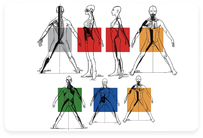 Metodología GDS — cinco familias musculares